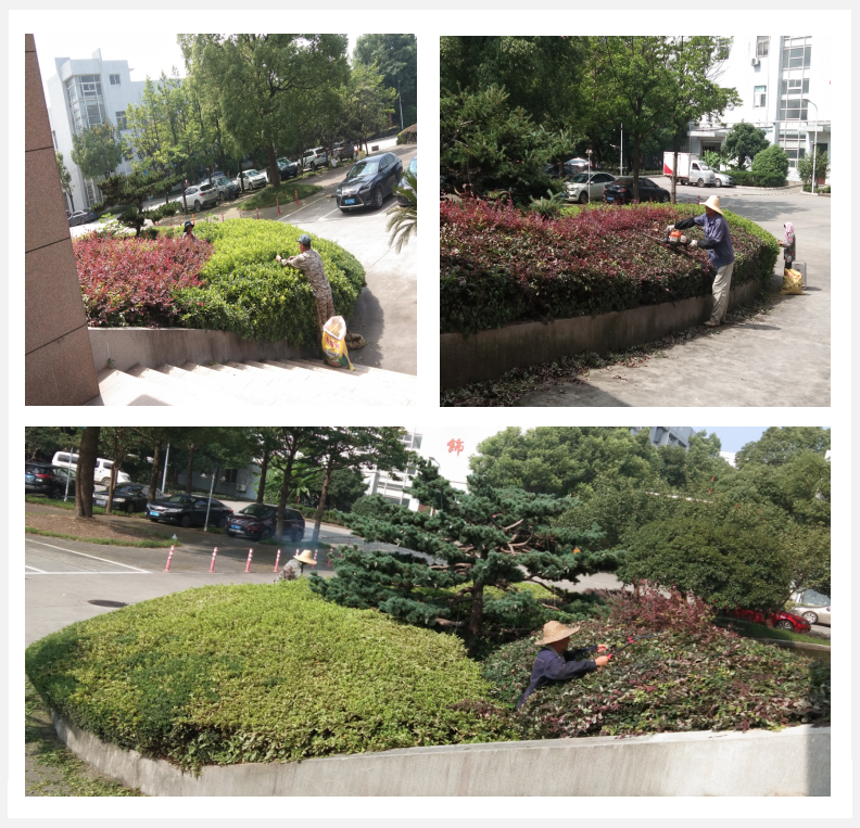 美化綠化，我們在行動      