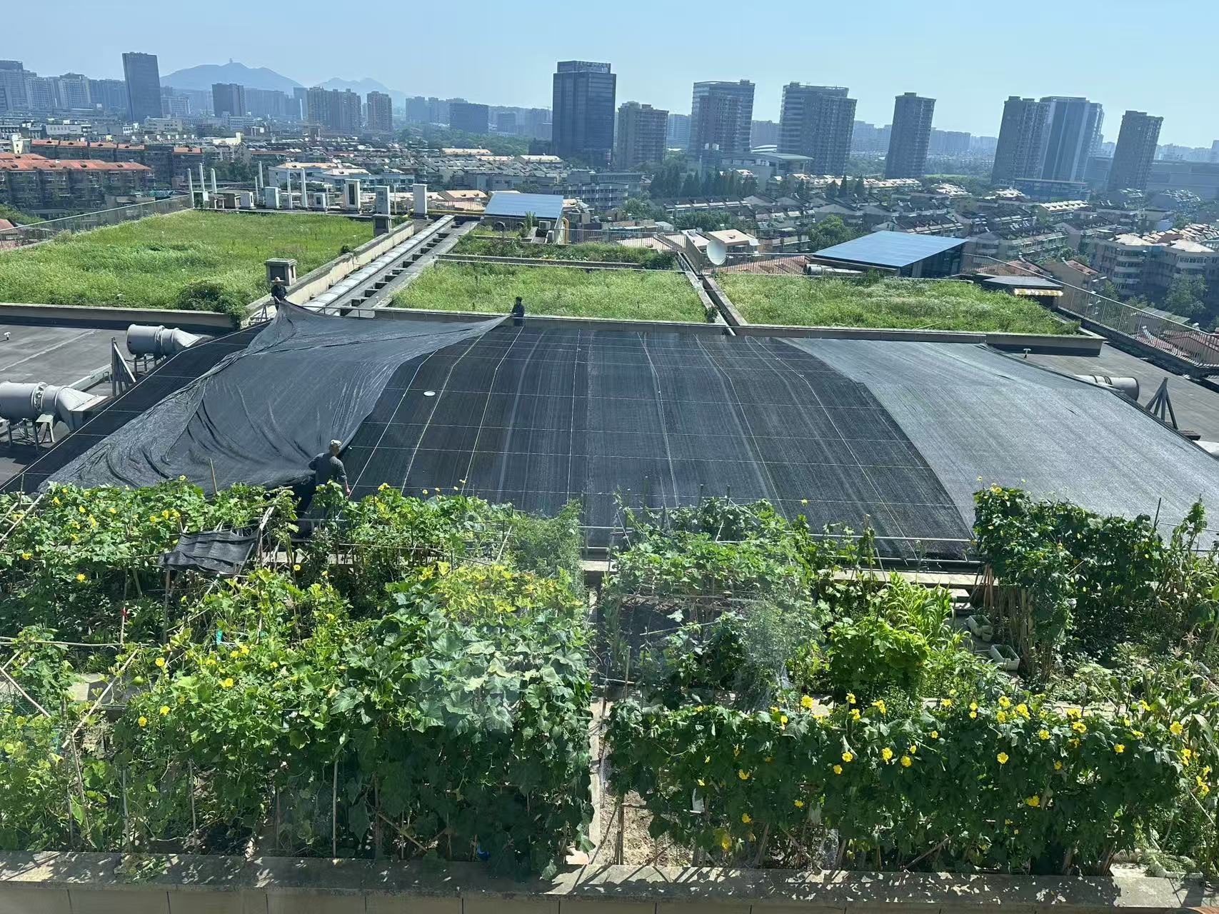 水晶城巧施”遮陽(yáng)術(shù)“，為節(jié)能降耗注入清涼動(dòng)力