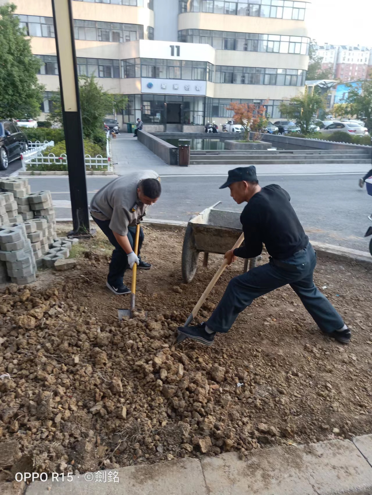 廬陽建華文創(chuàng)園開展環(huán)境優(yōu)化行動(dòng)