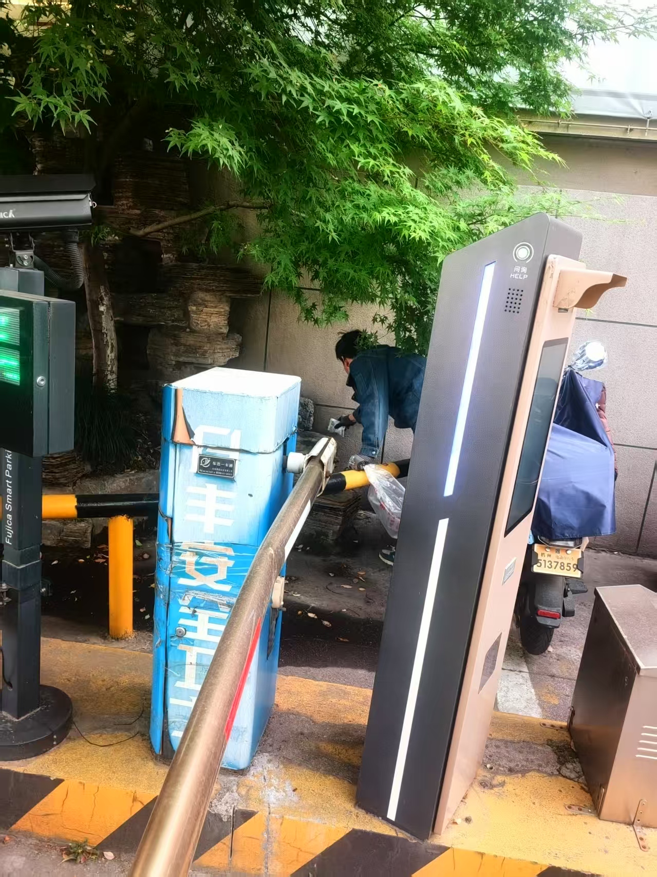 建華市場開啟滅鼠行動