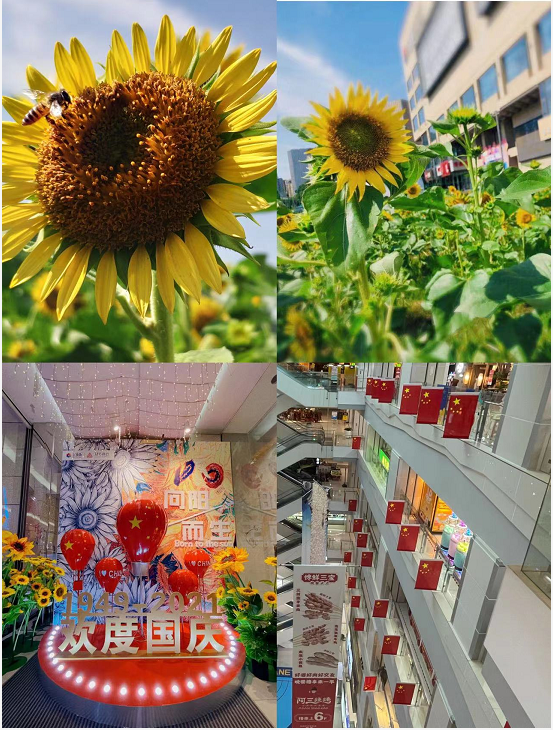 盛世華誕，水晶城喜迎國慶