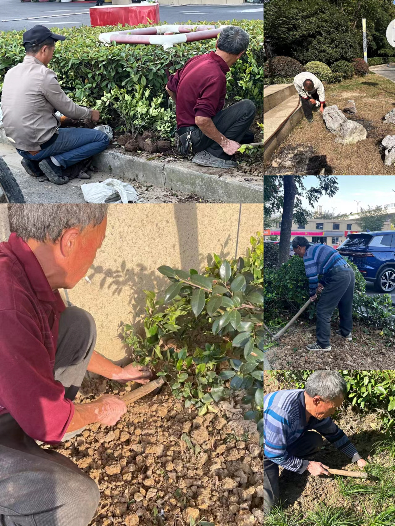 園區(qū)環(huán)境雙升級(jí)，煥然新風(fēng)提水準(zhǔn)