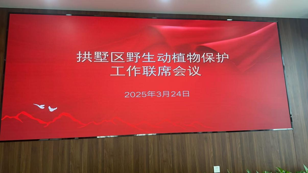 圖片11.png 圖片11.png